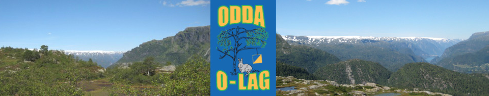 http://www.oddaolag.no